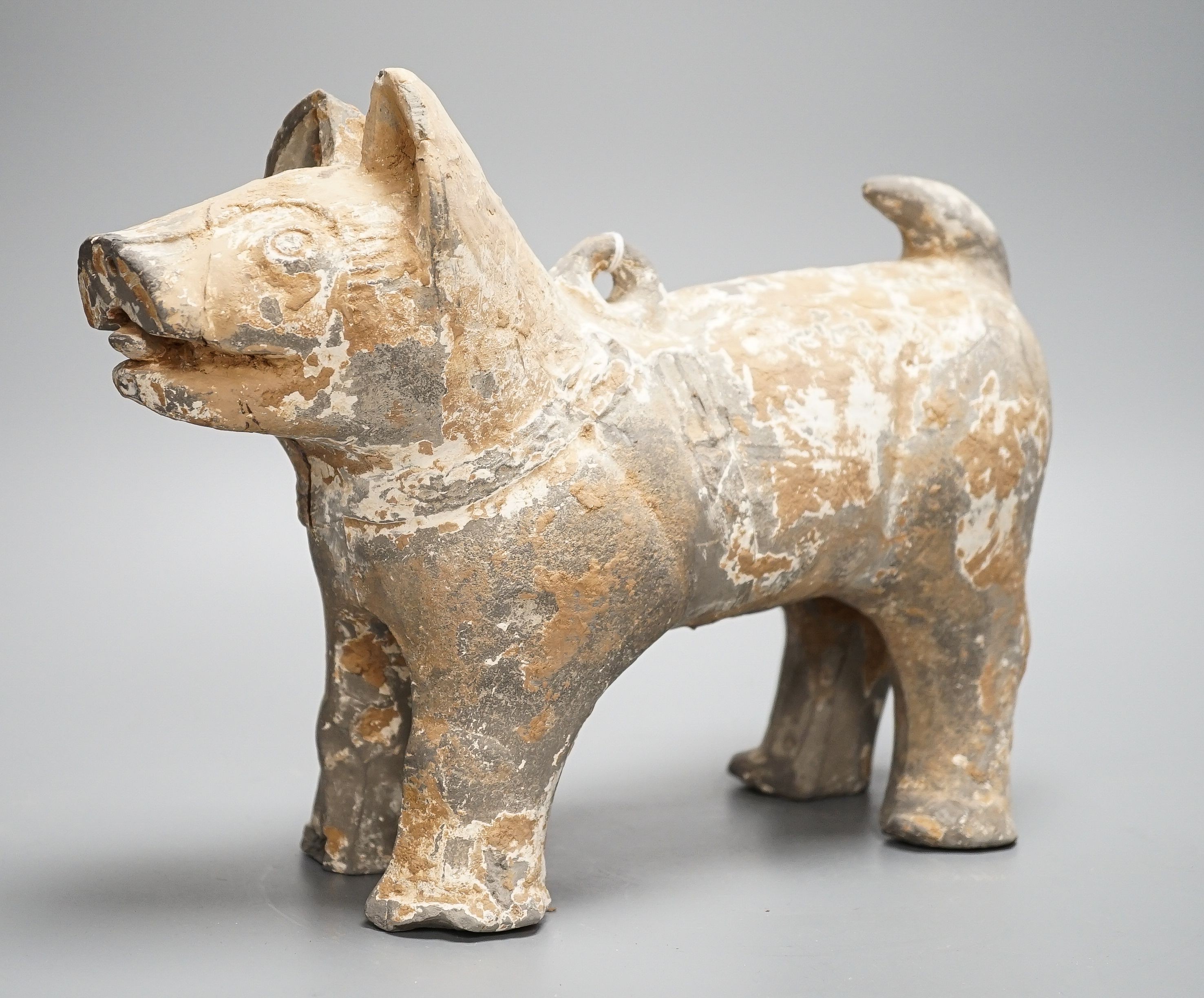 A Chinese painted grey pottery figure of a dog, probably Han dynasty, length 32cm, with 1991 invoice